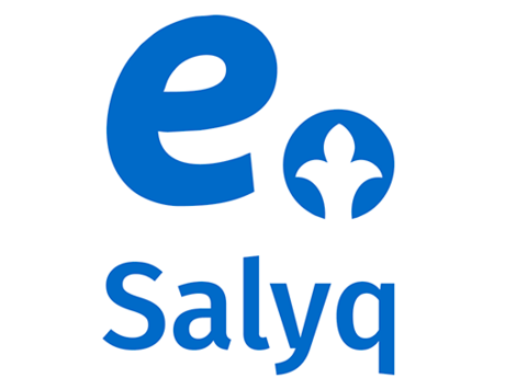 e-Salyq