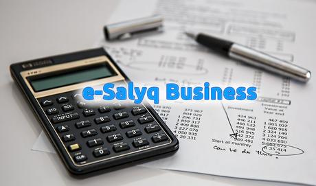 e-Salyq-Business