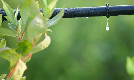 сельское хозяйство капельное орошение