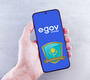 egov mobile